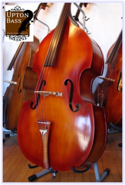 double bass.jpg