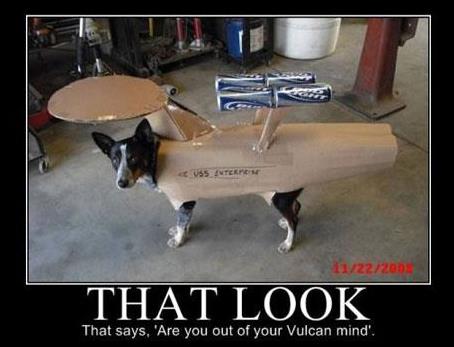 star trek dog..jpg