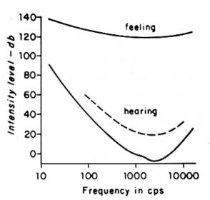 Auditory Threshold.jpg