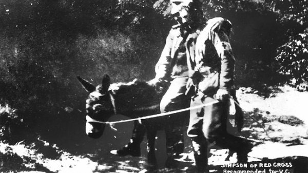 974093-john-034-simpson-034-kirkpatrick-and-his-famed-donkey-rescue-a-wounded-soldier.jpg