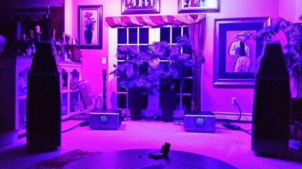 Purple.jpg Purple.jpg