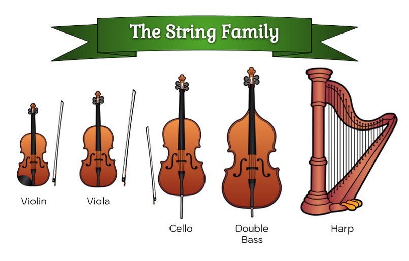 String Family.jpg