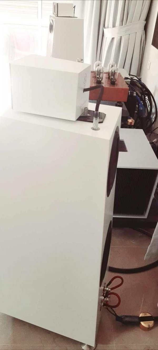 358566171_6203226639762310_2442910765557364079_n (1).jpg 358566171_6203226639762310_2442910765557364079_n (1).jpg