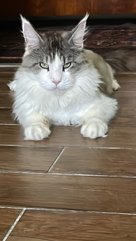 WhatsApp Image 2023-07-22 at 14.02.47.jpeg