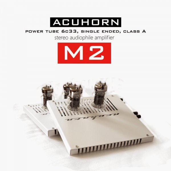 Acuhorn+amplifier+M2.jpg