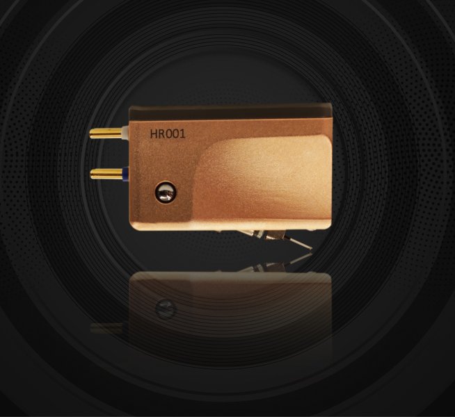 Sonic X4 11.jpg Sonic X4 11.jpg