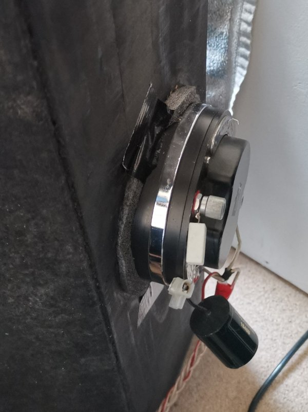 IMG_20240324_120221~2.jpg IMG_20240324_120221~2.jpg