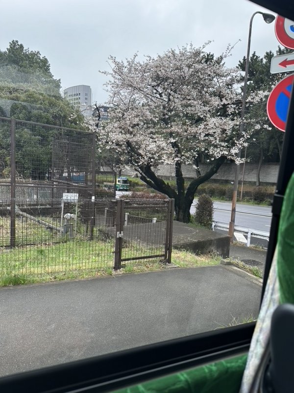 1713300986604.jpeg 1713300986604.jpeg