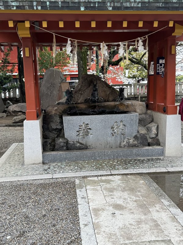 IMG_4552.jpeg IMG_4552.jpeg