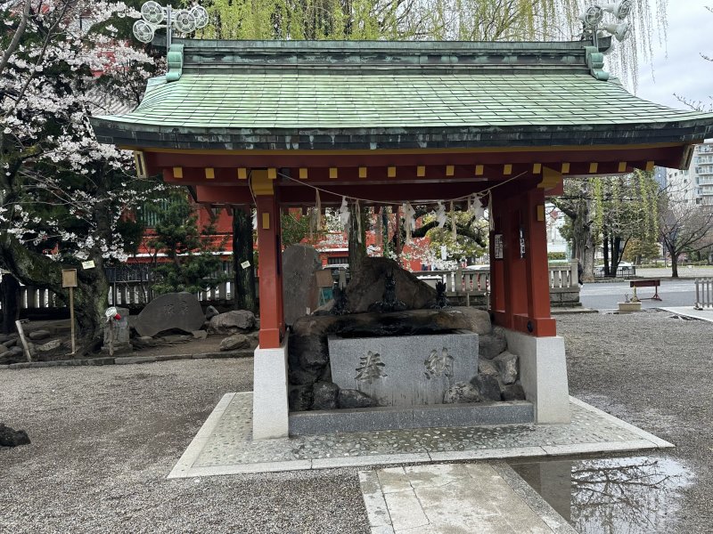 IMG_4553.jpeg IMG_4553.jpeg