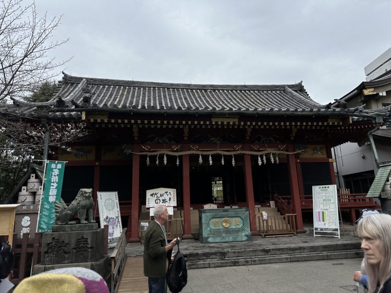 IMG_4554.jpeg IMG_4554.jpeg