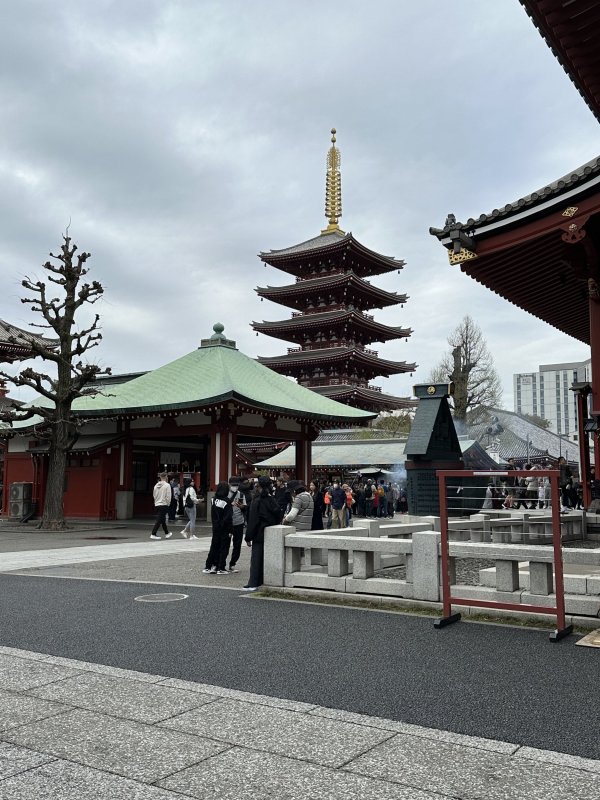 IMG_4555.jpeg IMG_4555.jpeg