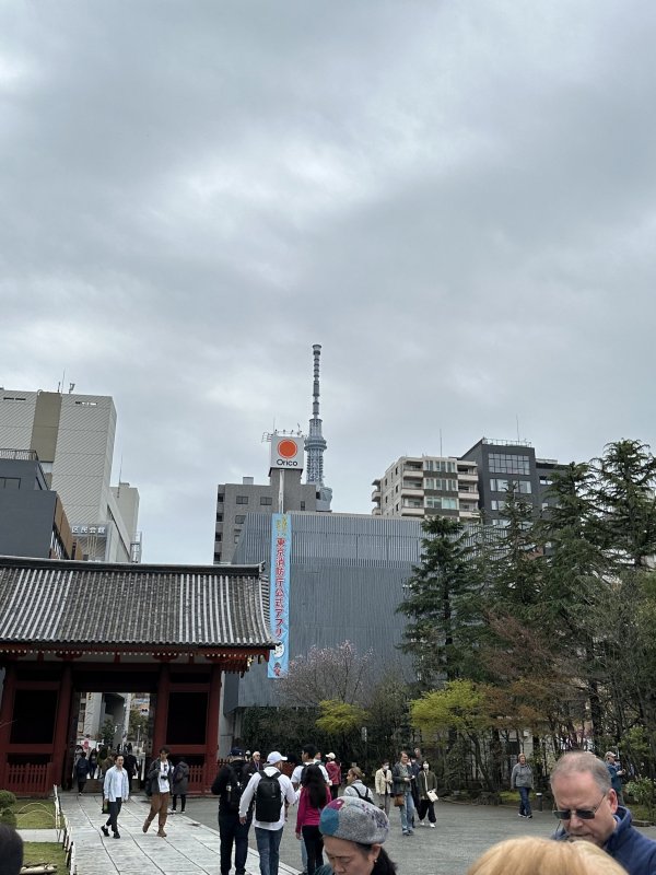 IMG_4556.jpeg IMG_4556.jpeg