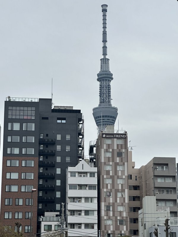 IMG_4564.jpeg IMG_4564.jpeg