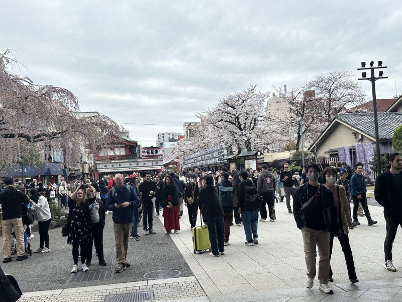 IMG_4565.jpeg IMG_4565.jpeg