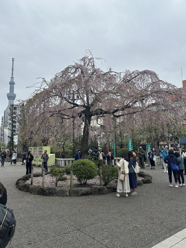 IMG_4566.jpeg IMG_4566.jpeg