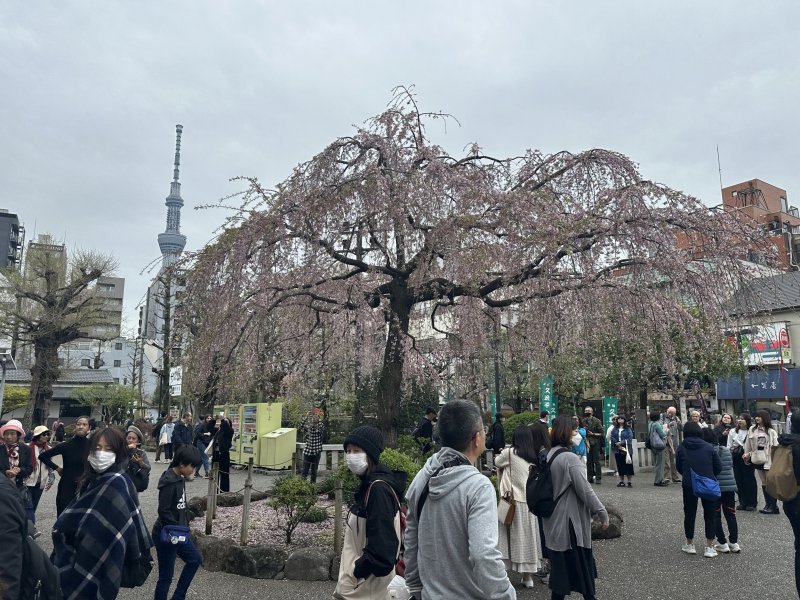 IMG_4567.jpeg IMG_4567.jpeg