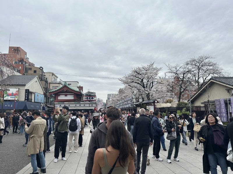 IMG_4568.jpeg IMG_4568.jpeg