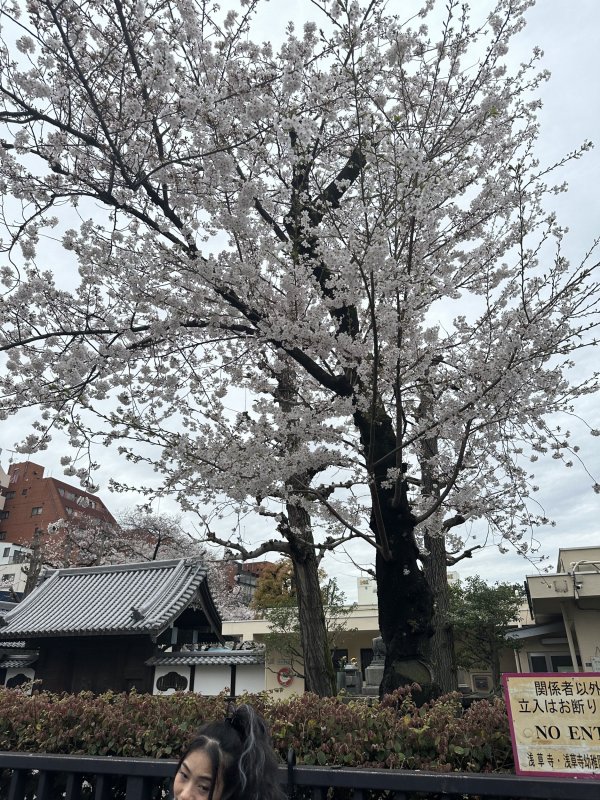 IMG_4572.jpeg IMG_4572.jpeg