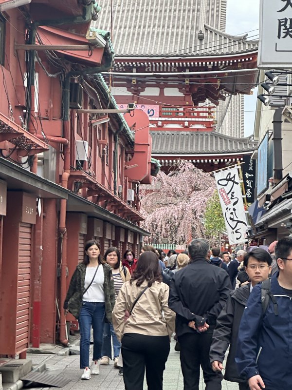 IMG_4574.jpeg IMG_4574.jpeg