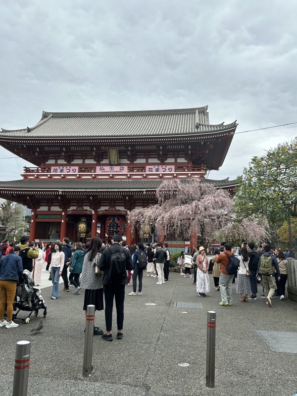 IMG_4575.jpeg IMG_4575.jpeg