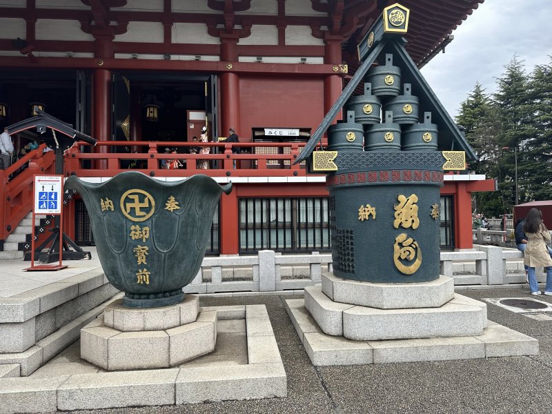 IMG_4586.jpeg IMG_4586.jpeg