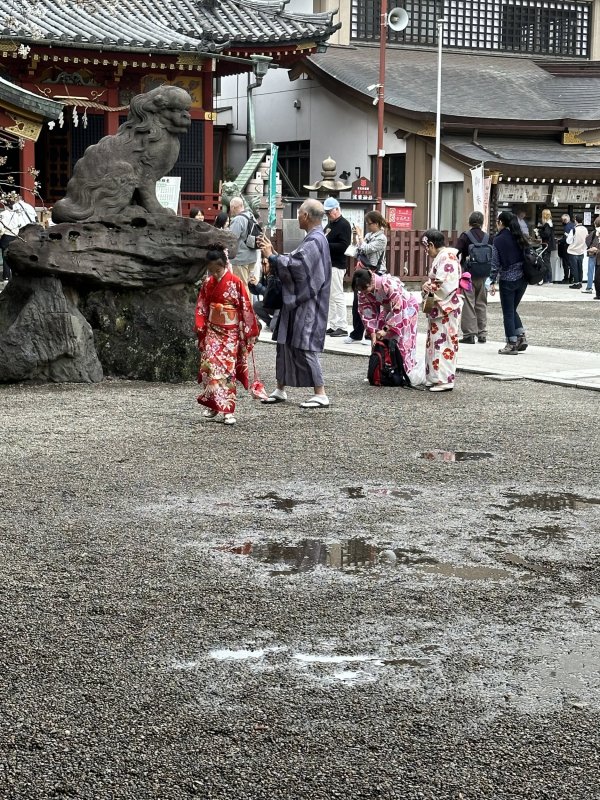 IMG_4587.jpeg IMG_4587.jpeg