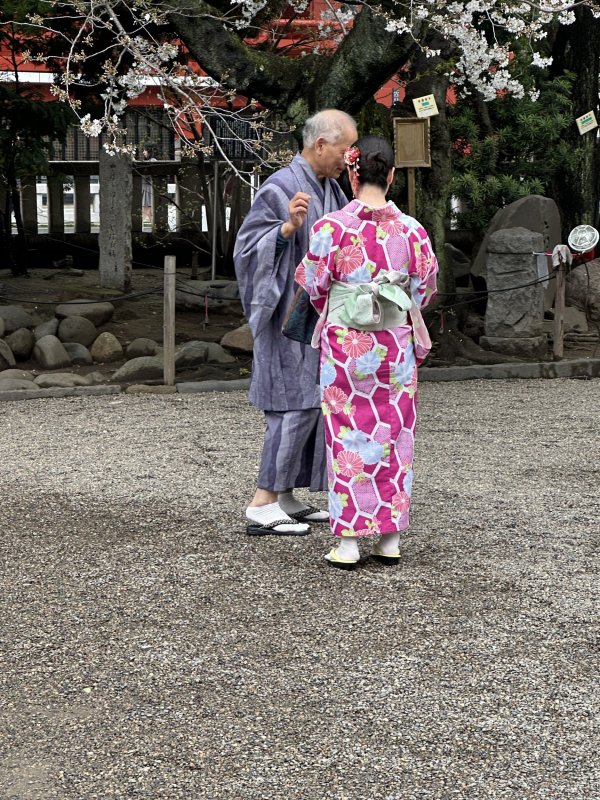 IMG_4589.jpeg IMG_4589.jpeg