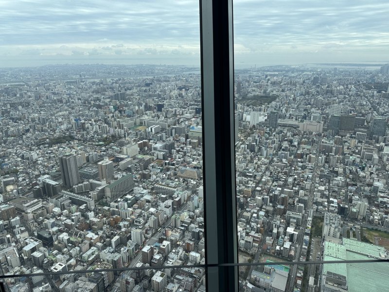 IMG_4601.jpeg IMG_4601.jpeg