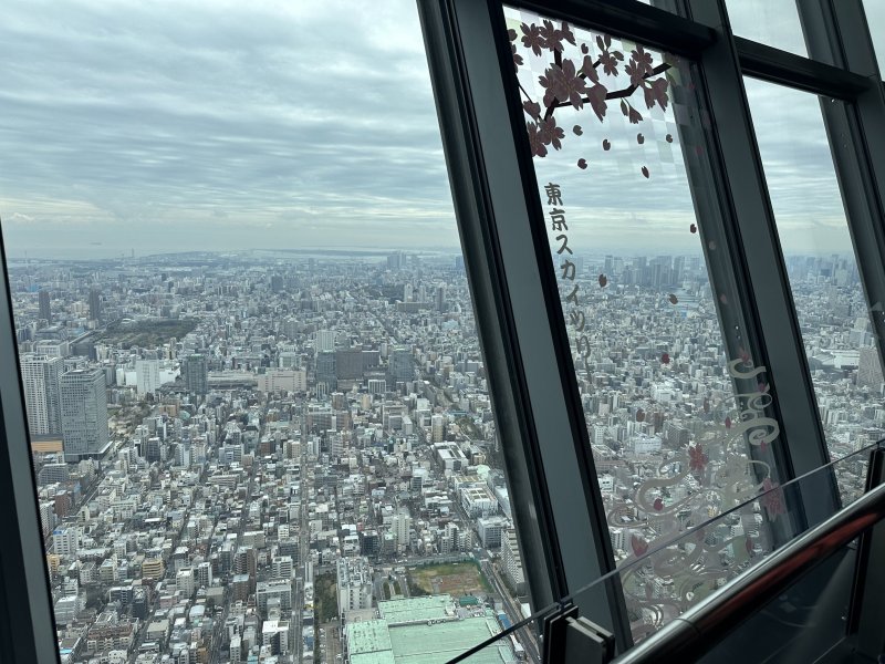 IMG_4602.jpeg IMG_4602.jpeg