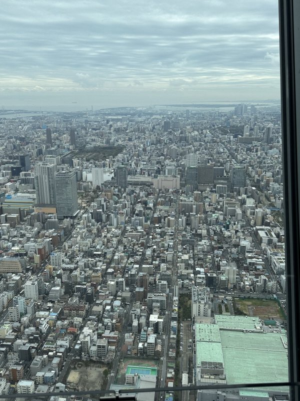 IMG_4603.jpeg IMG_4603.jpeg