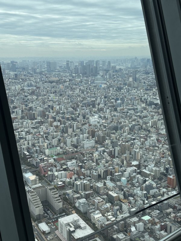 IMG_4604.jpeg IMG_4604.jpeg