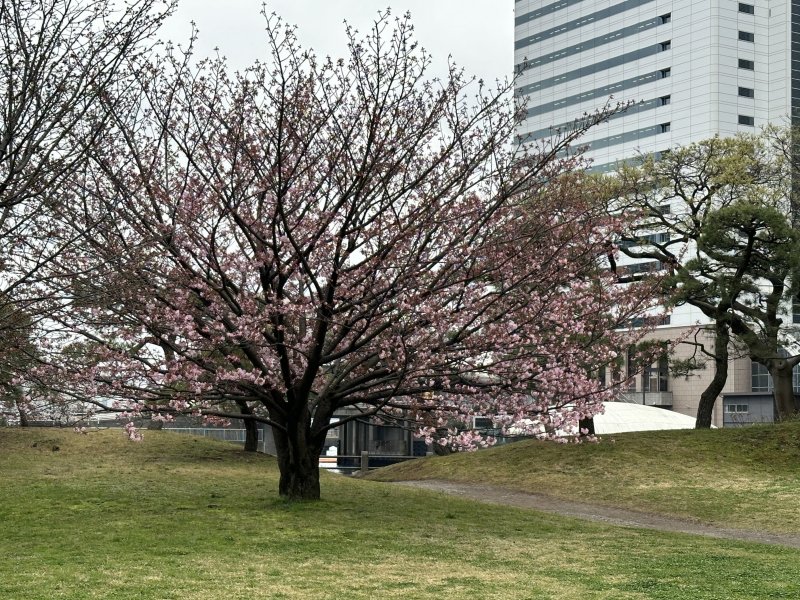 IMG_4637.jpeg IMG_4637.jpeg