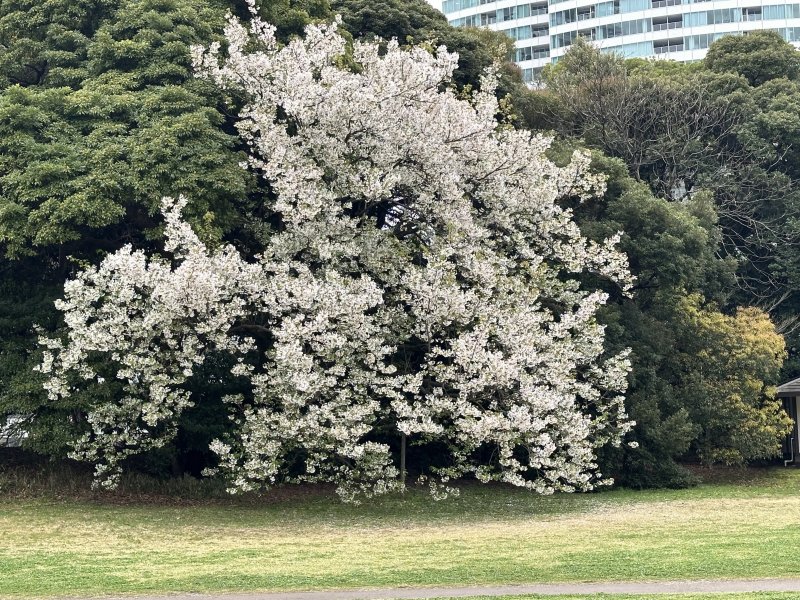 IMG_4638.jpeg IMG_4638.jpeg