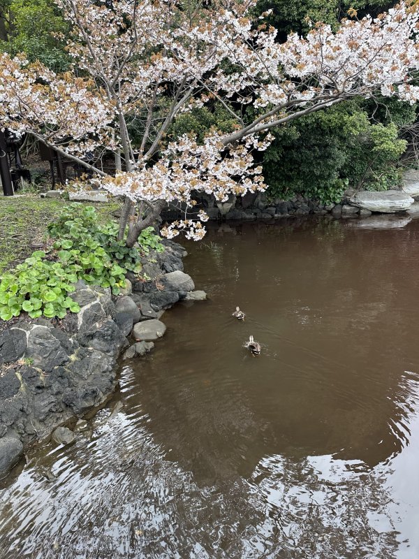 IMG_4640.jpeg IMG_4640.jpeg