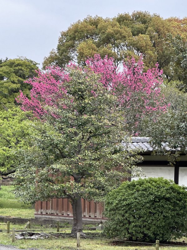 IMG_4641.jpeg IMG_4641.jpeg