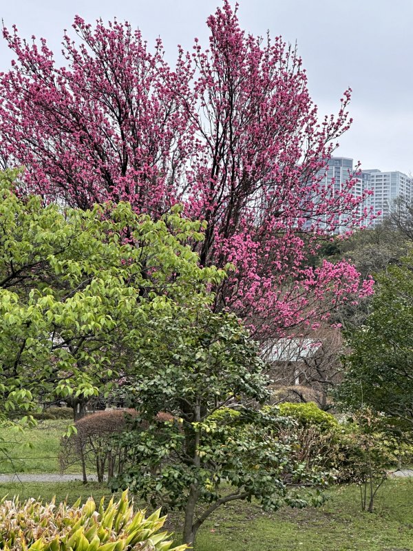 IMG_4642.jpeg IMG_4642.jpeg