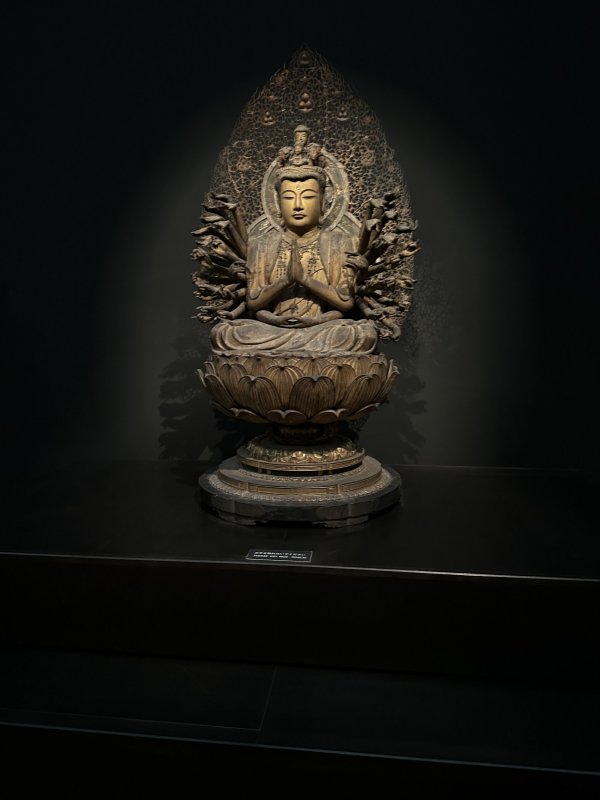 IMG_4651.jpeg IMG_4651.jpeg