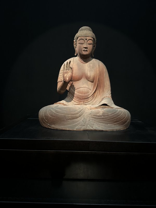 IMG_4650.jpeg IMG_4650.jpeg