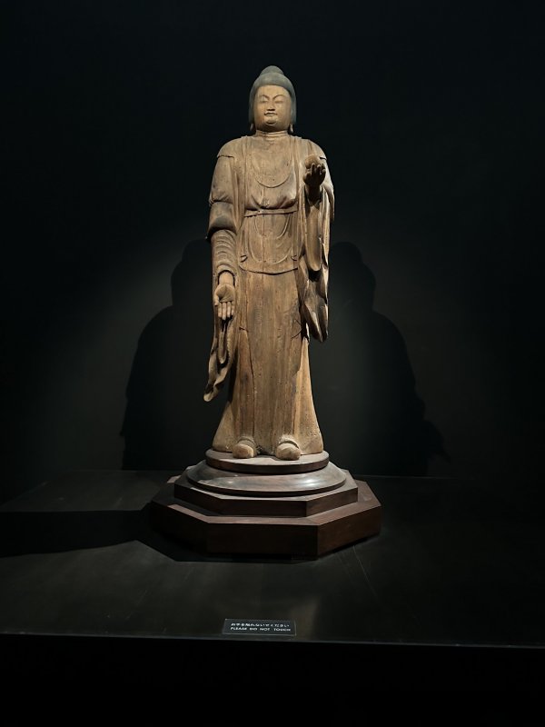 IMG_4649.jpeg IMG_4649.jpeg