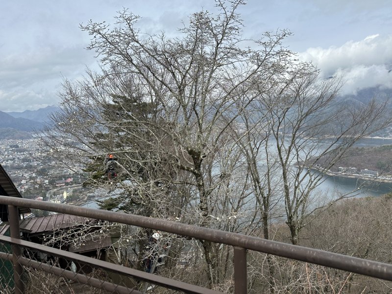 IMG_4667.jpeg IMG_4667.jpeg