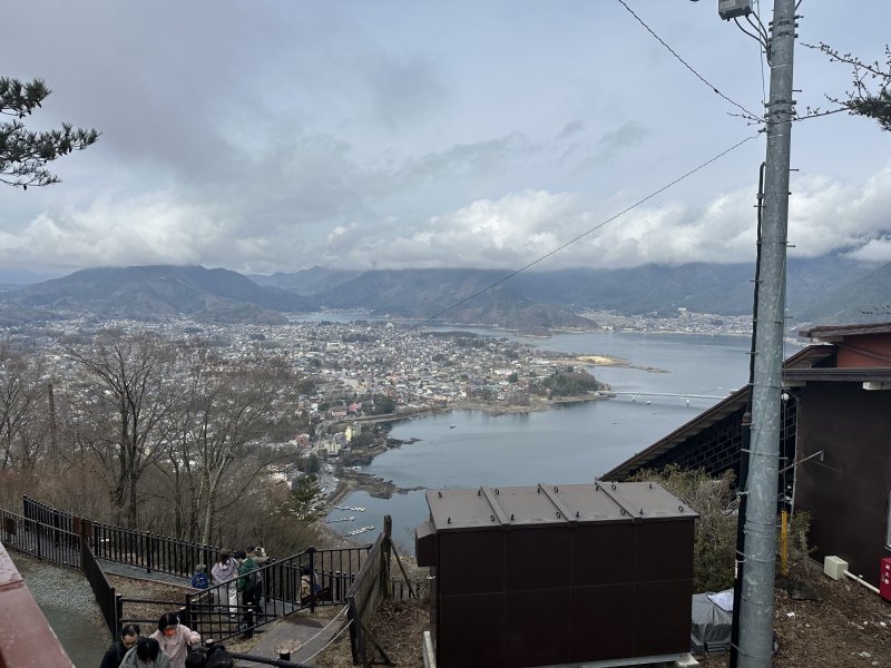 IMG_4673.jpeg IMG_4673.jpeg