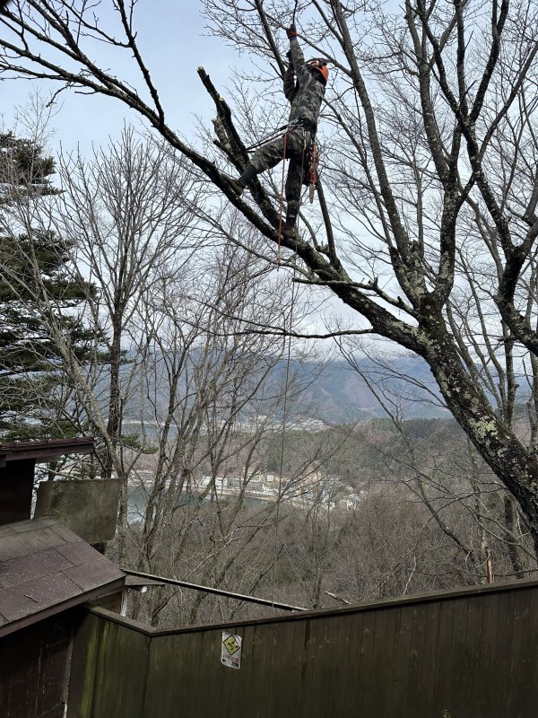 IMG_4676.jpeg IMG_4676.jpeg