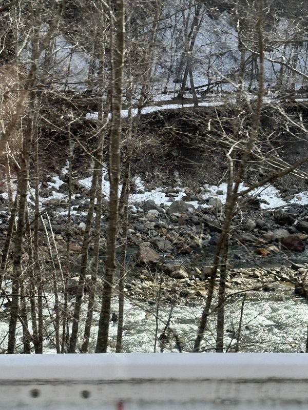 IMG_4683.jpeg IMG_4683.jpeg