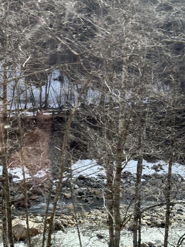 IMG_4684.jpeg IMG_4684.jpeg