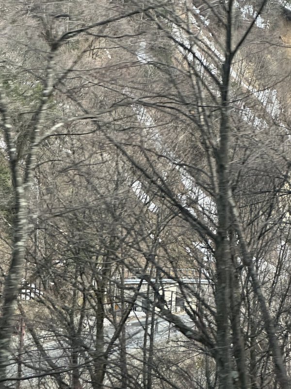 IMG_4694.jpeg IMG_4694.jpeg