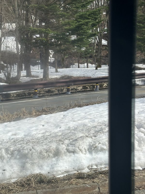 IMG_4703.jpeg IMG_4703.jpeg