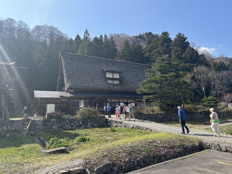 IMG_4739.jpeg IMG_4739.jpeg