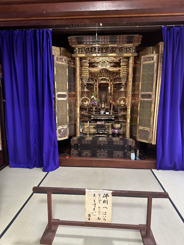 IMG_4751.jpeg IMG_4751.jpeg