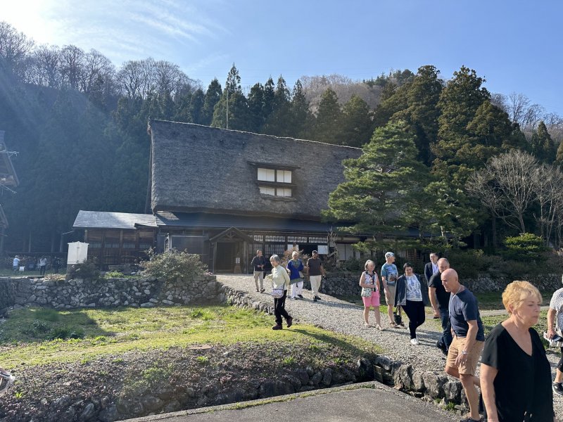 IMG_4765.jpeg IMG_4765.jpeg